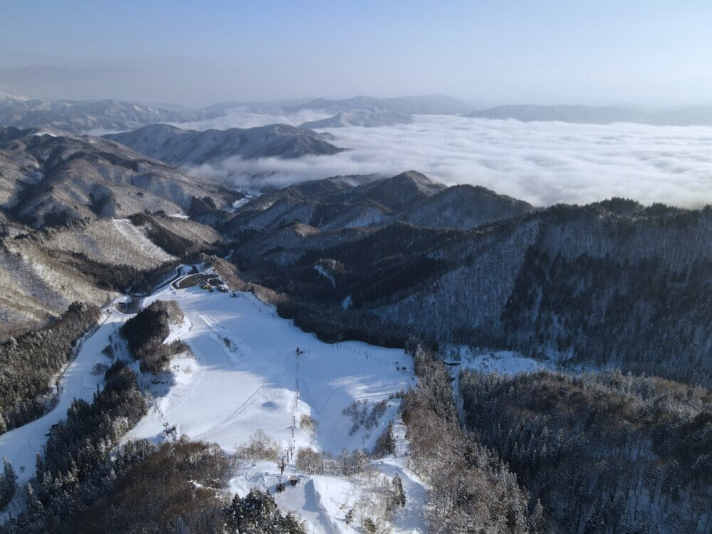 スタッフ募集